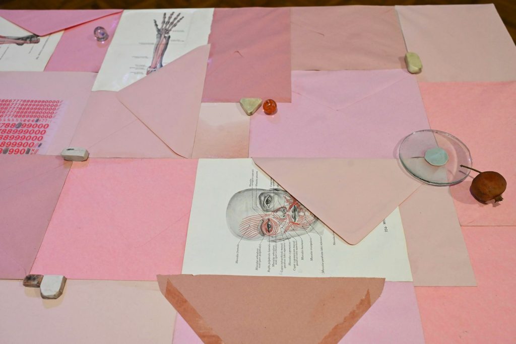 Devet soba, devet svetova: Putovanje kroz heterotopije Lane Vasiljević 46 EDY 7218