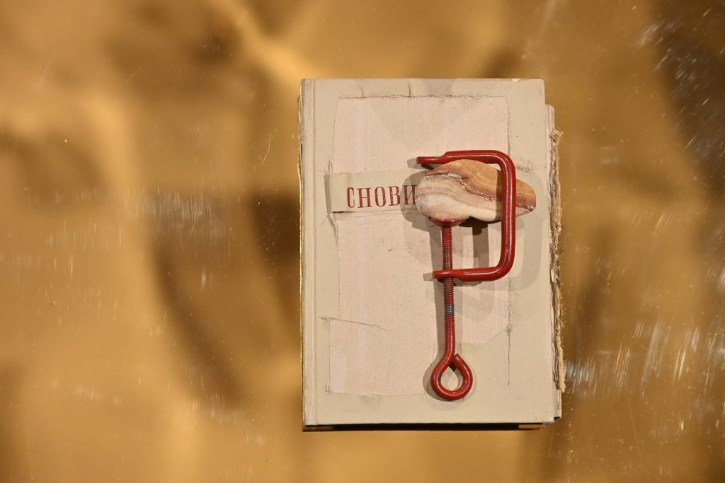 Devet soba, devet svetova: Putovanje kroz heterotopije Lane Vasiljević 22 EDY 9123