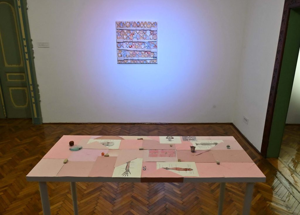 Devet soba, devet svetova: Putovanje kroz heterotopije Lane Vasiljević 47 EDY 9349