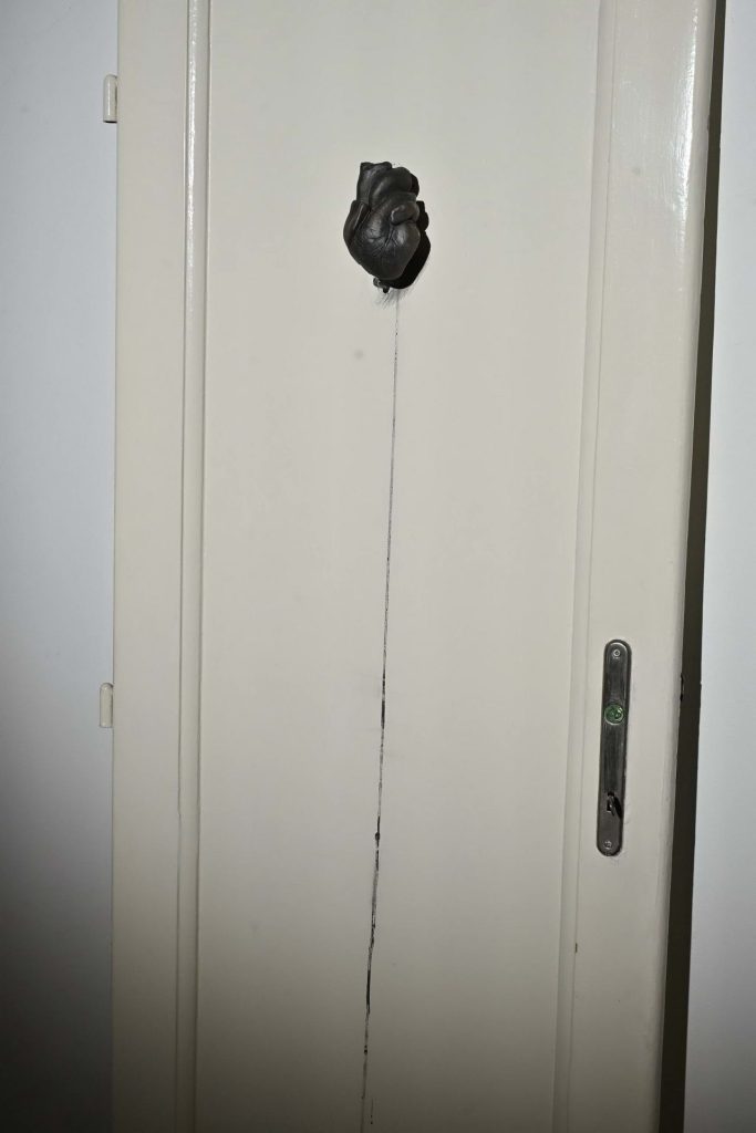 Devet soba, devet svetova: Putovanje kroz heterotopije Lane Vasiljević 41 EDY 9361