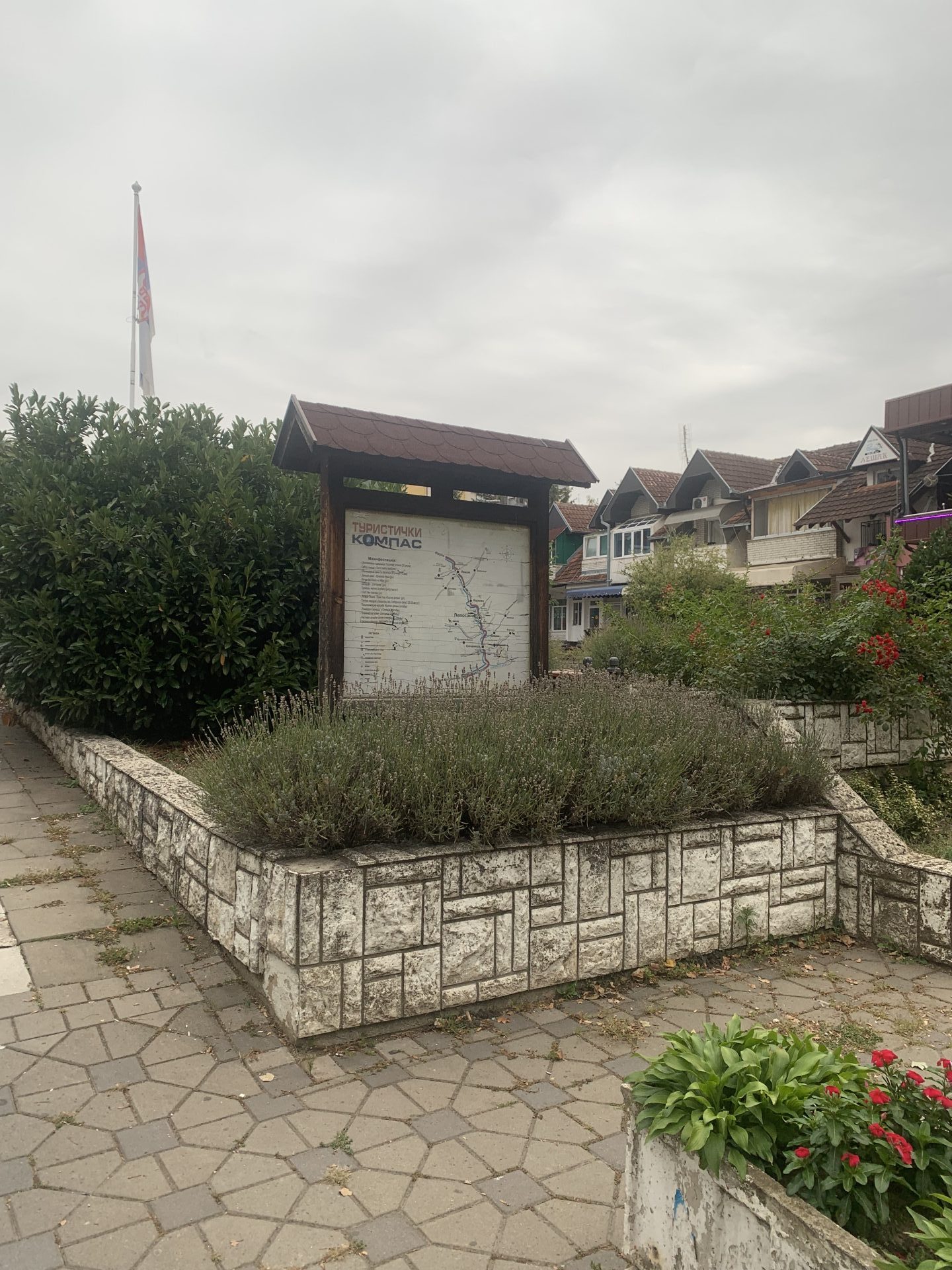 IMG 6812 e1763035103728