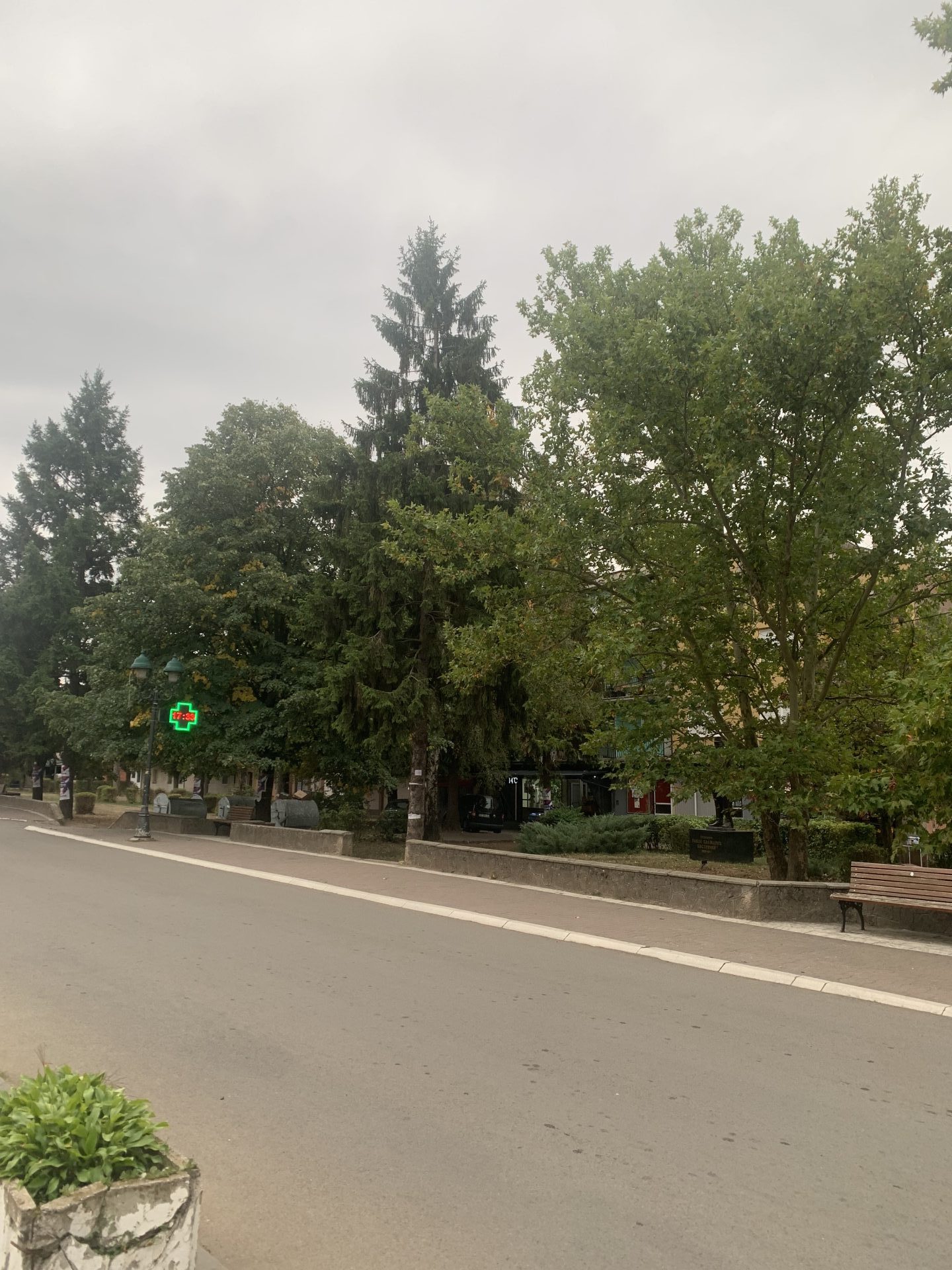 IMG 6814 e1763035091109