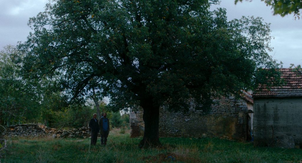 Kako je ovde tako zeleno Foto Promo 2