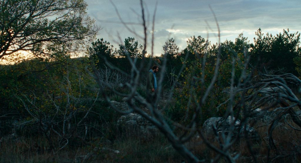 Kako je ovde tako zeleno Foto Promo 5 1