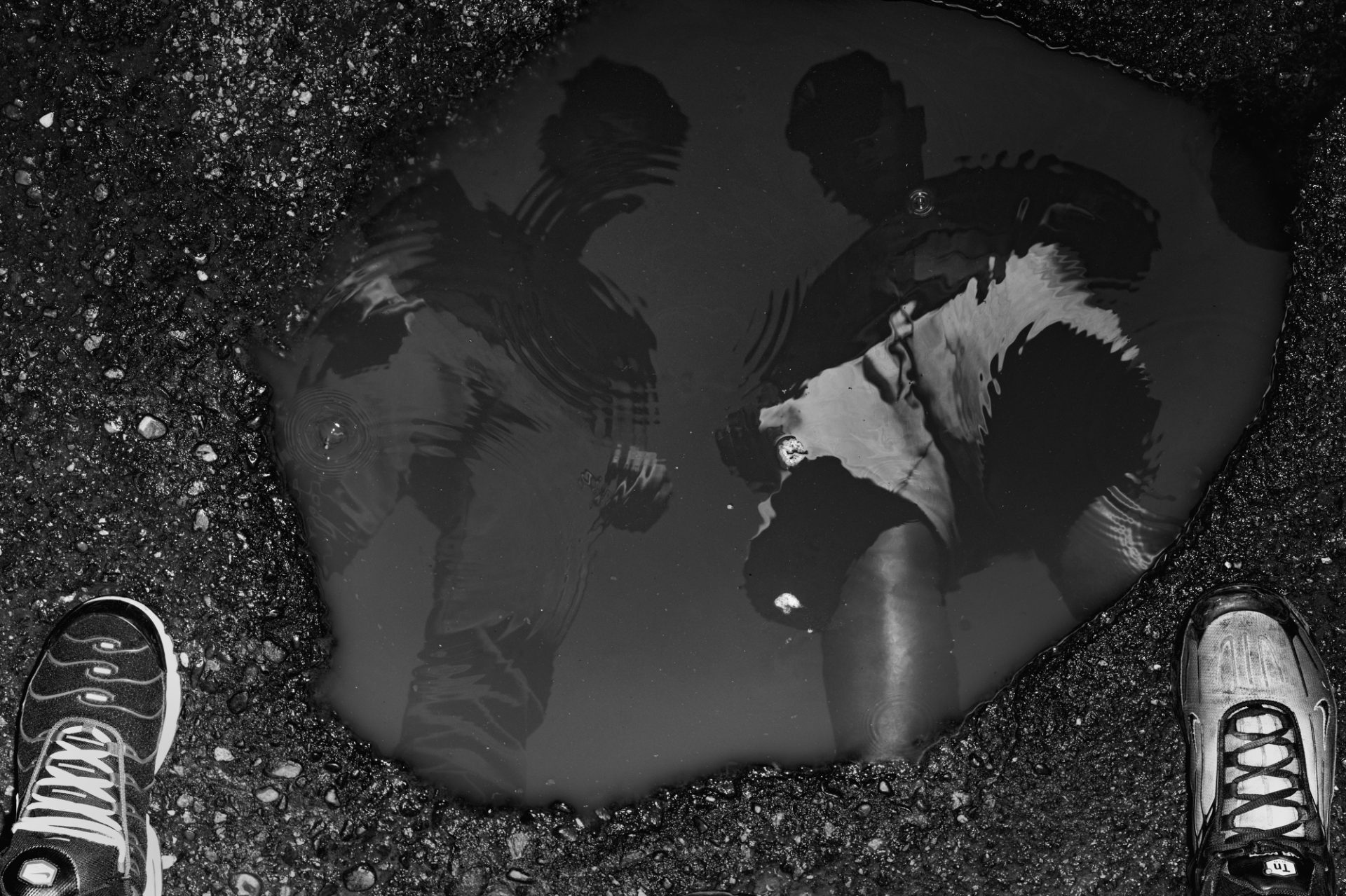 VIZUELNI LEKSIKON: Anđelo Leonardo 7 1 4