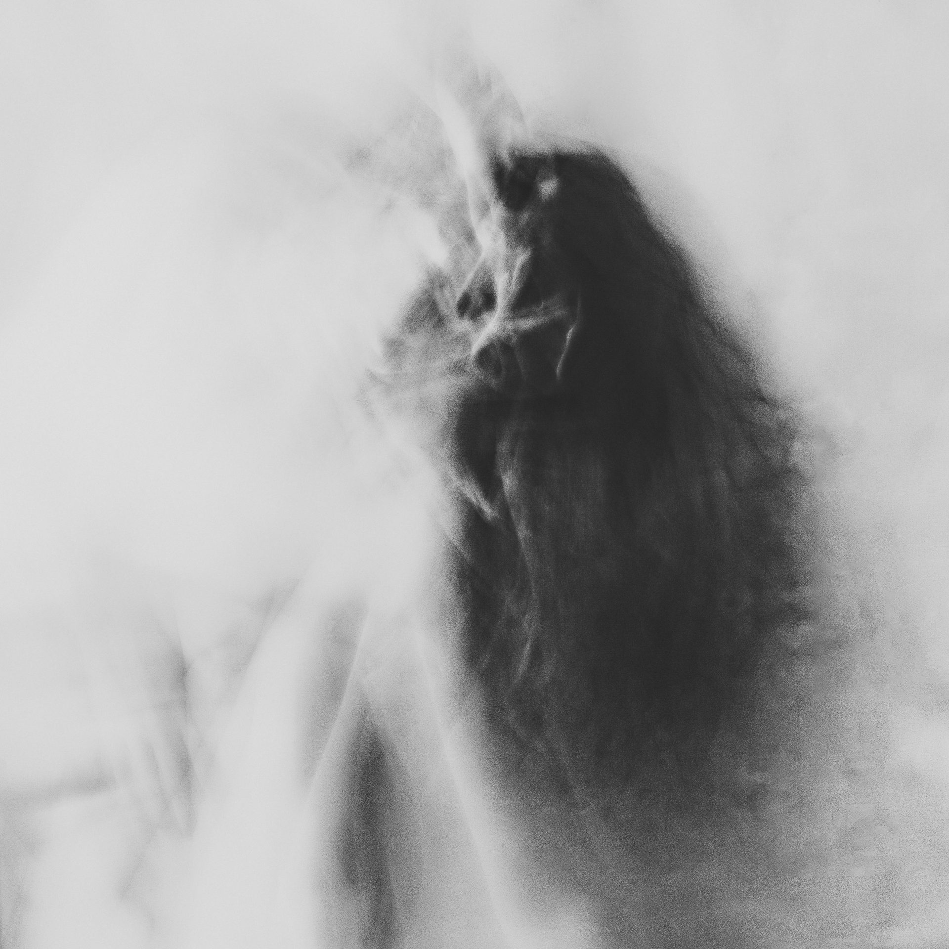 VIZUELNI LEKSIKON: MILICA MACANOVIĆ 7 1 MM