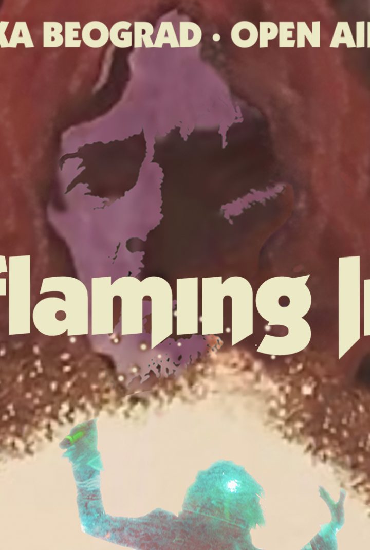 The Flaming Lips
