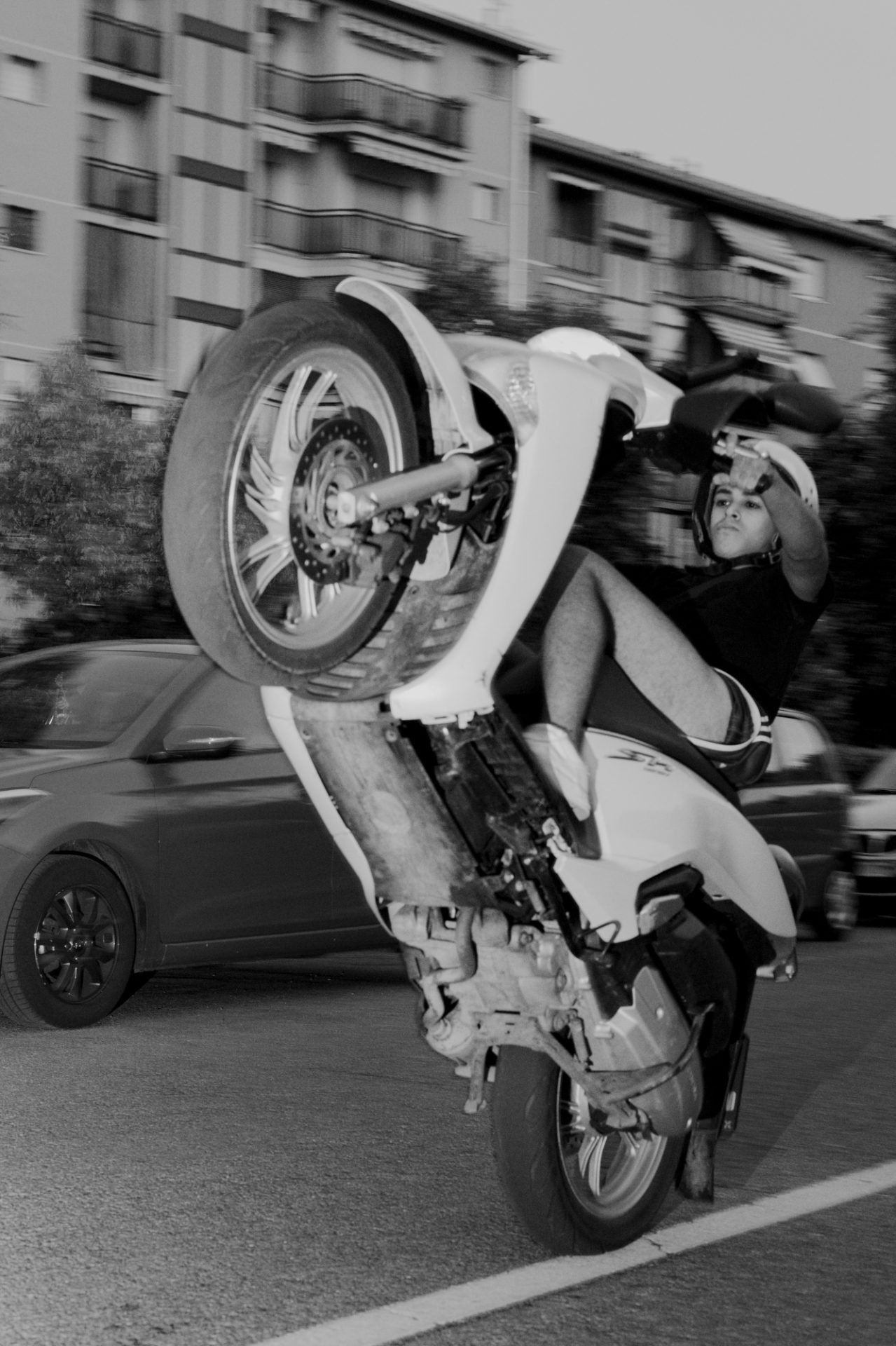 VIZUELNI LEKSIKON: Anđelo Leonardo 9 3 1