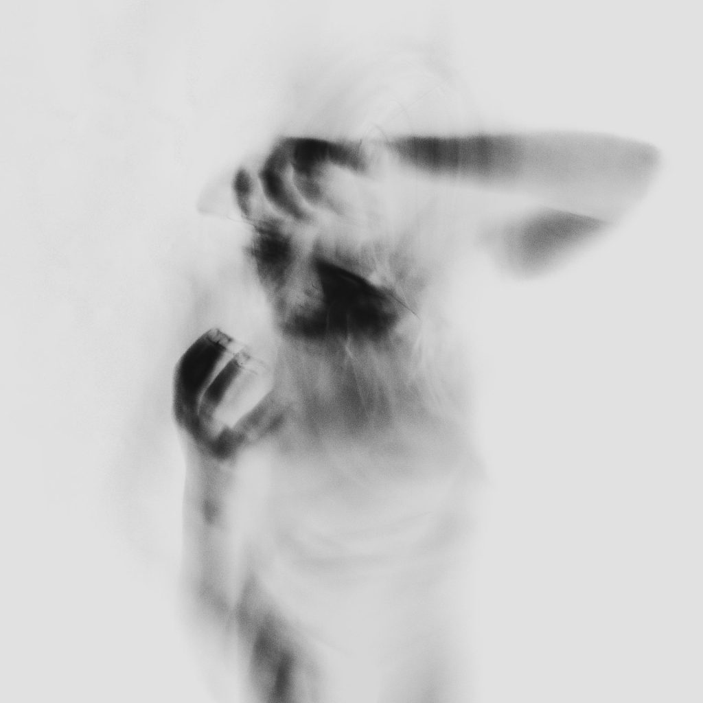 VIZUELNI LEKSIKON: MILICA MACANOVIĆ 10 4 MM