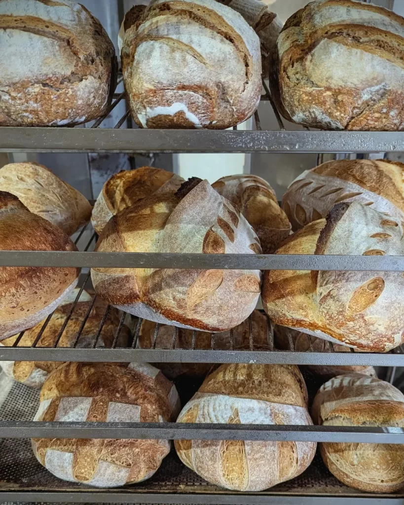 477640416 18076764196640689 4849651353314457828 n