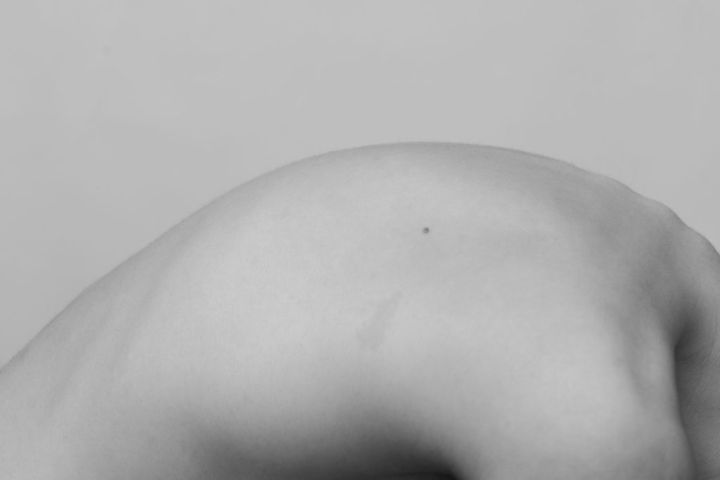 VIZUELNI LEKSIKON: MILICA MACANOVIĆ 12 6 MM