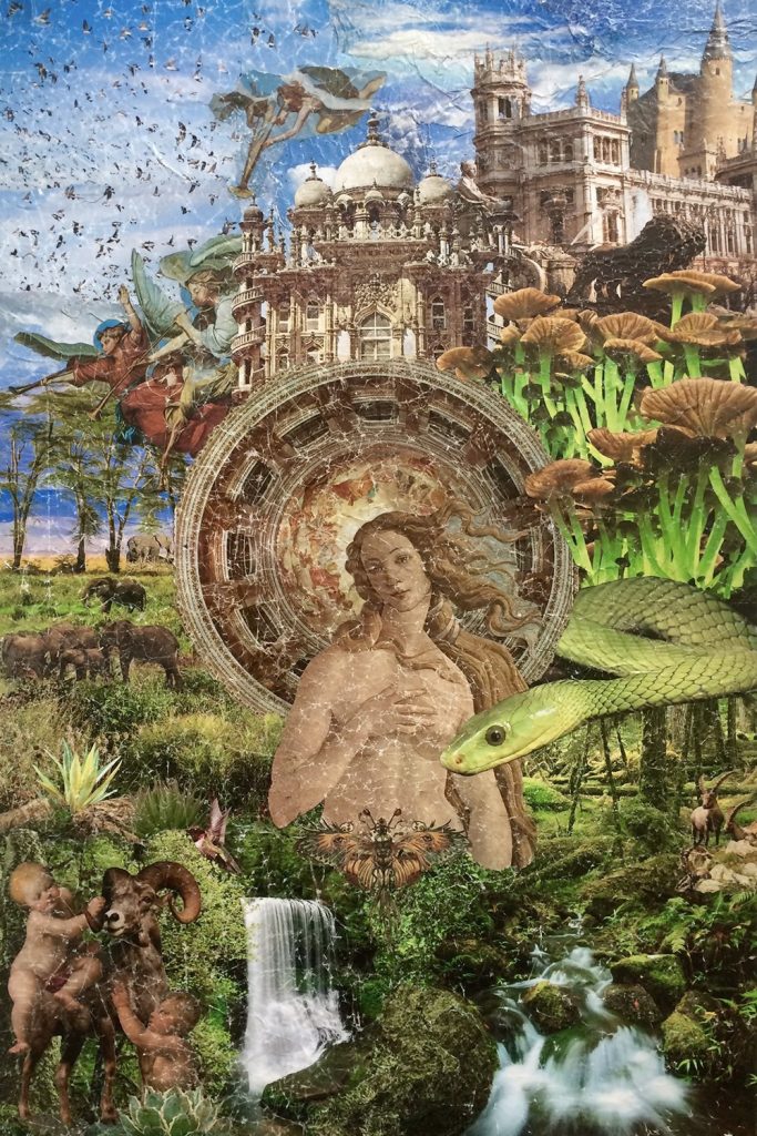 IMG 4b48da7b4012ed61094728b098ff7de4 V