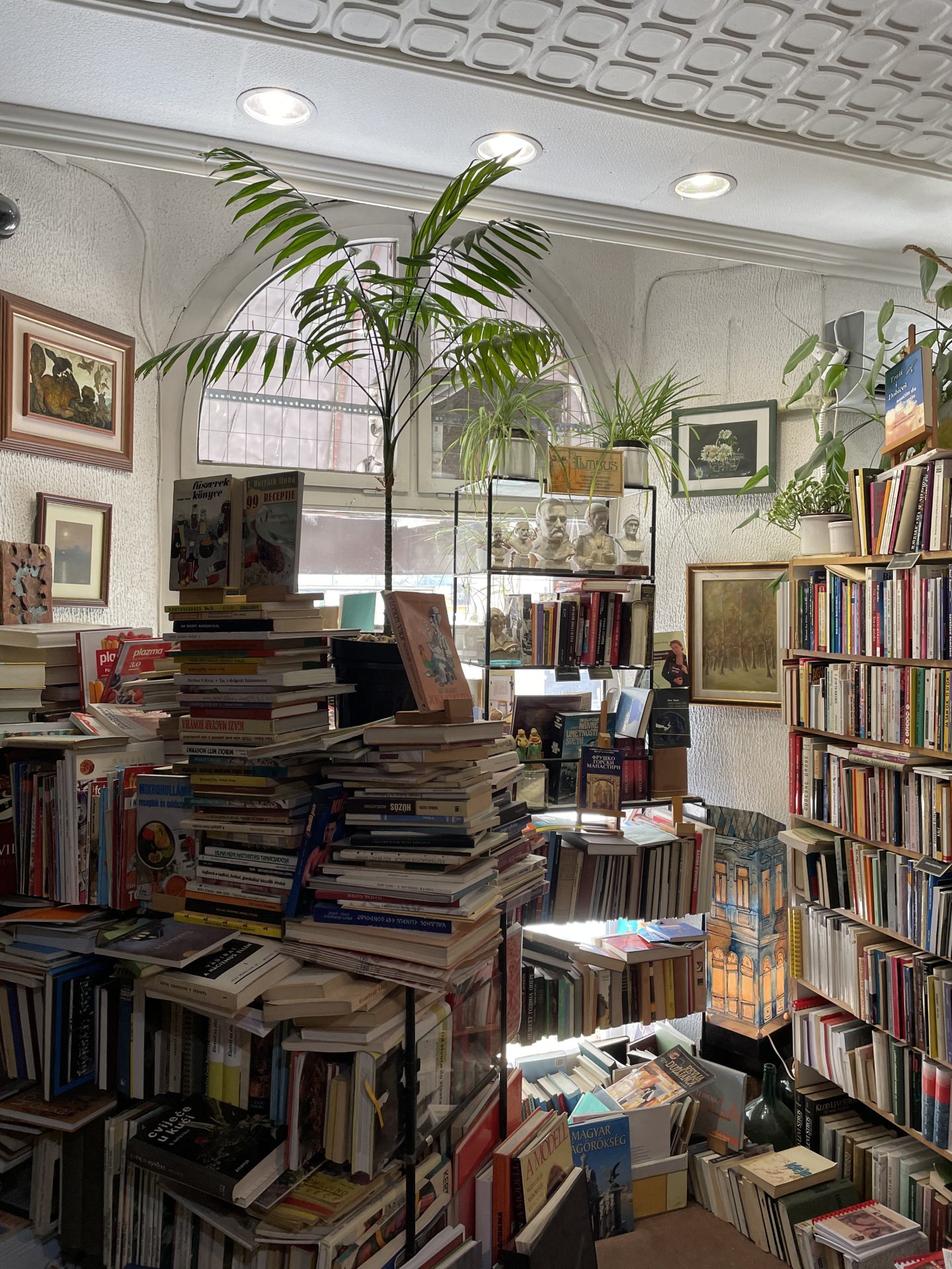 Zašto Subotica nije najdepresivniji grad u Srbiji? 38 IMG 0041