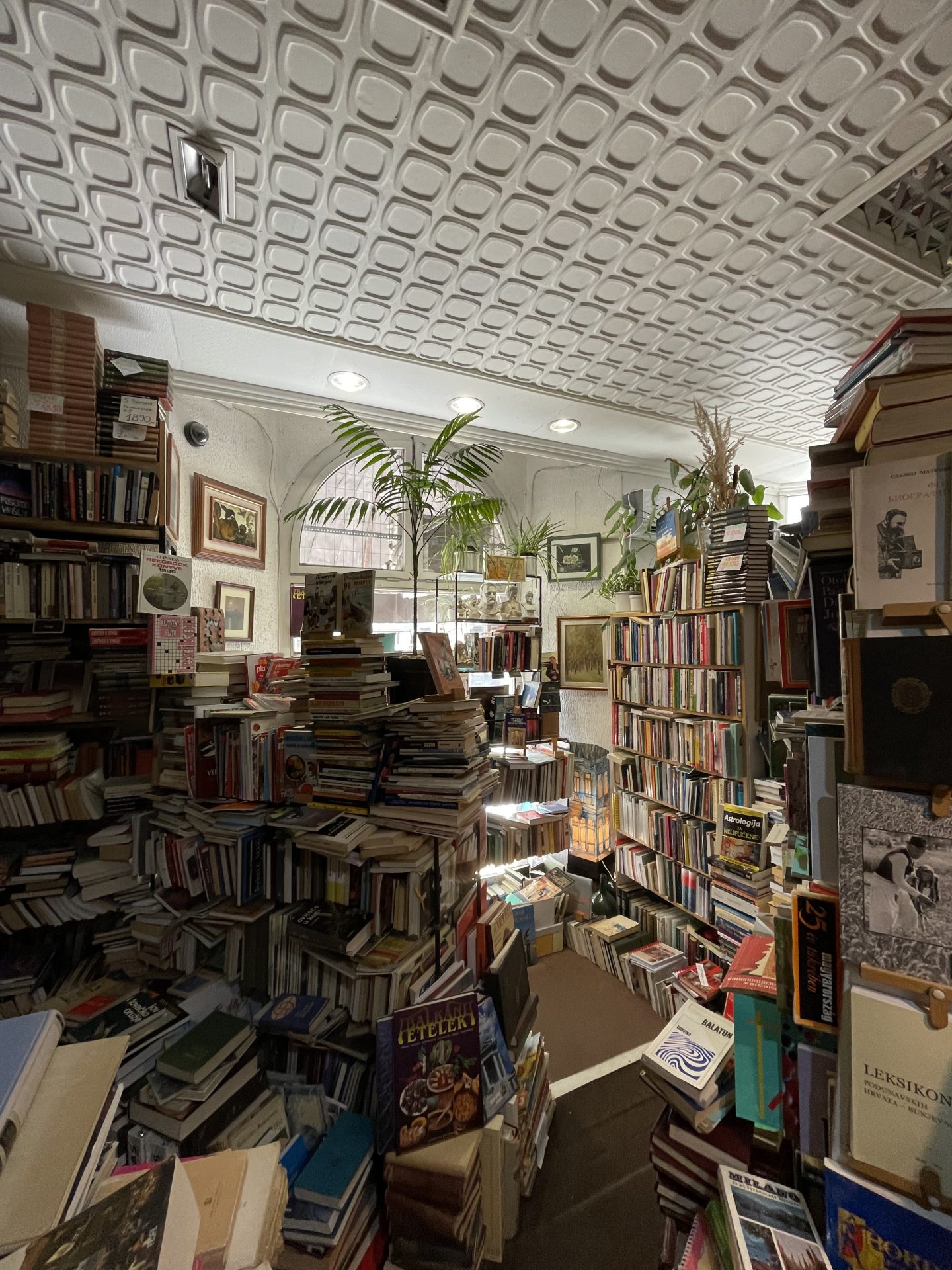 Zašto Subotica nije najdepresivniji grad u Srbiji? 39 IMG 0045