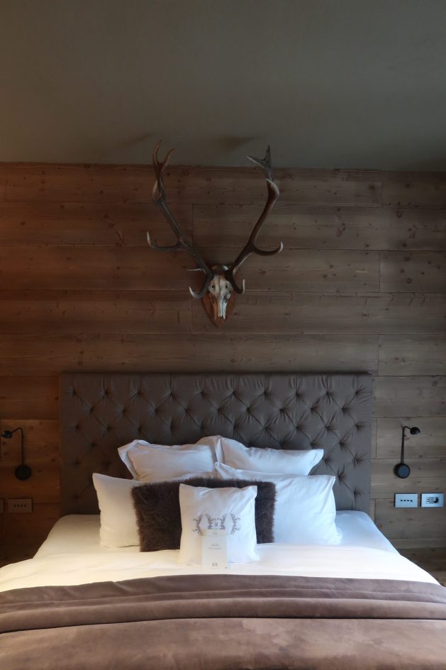 Bohinjska rapsodija 17 IMG 0642 e1765531000584