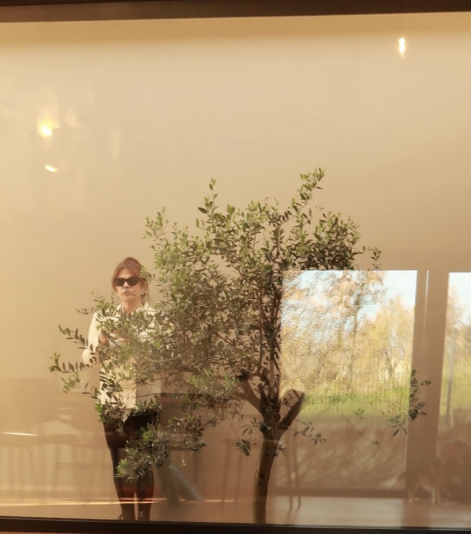 Jesen u Istri 12 IMG 3916