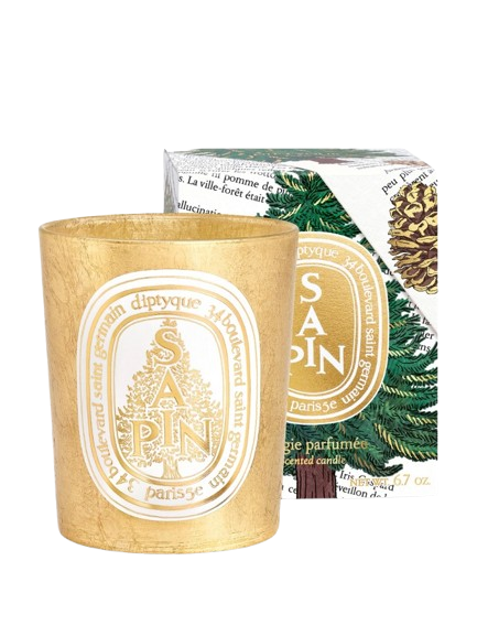 Screenshot 2025 12 11 at 12 08 49 Sapin Pine Tree Classic Candle Diptyque Paris removebg preview