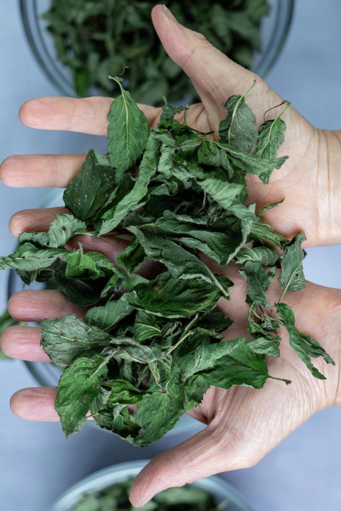 pexels jankao 33988123