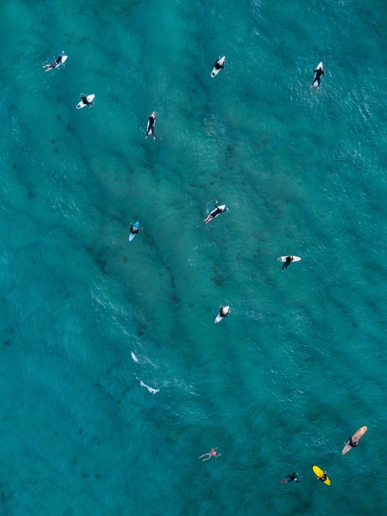 pexels wendywei 1667003