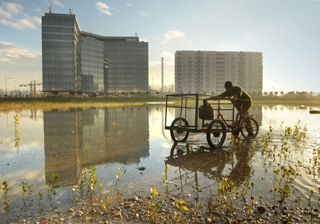 Andjela Stevanovic Zivkovic Neuskladjena zona 2010