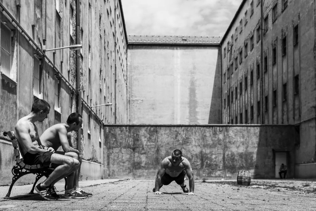 Igor Coko serijal Iza resetaka 2016