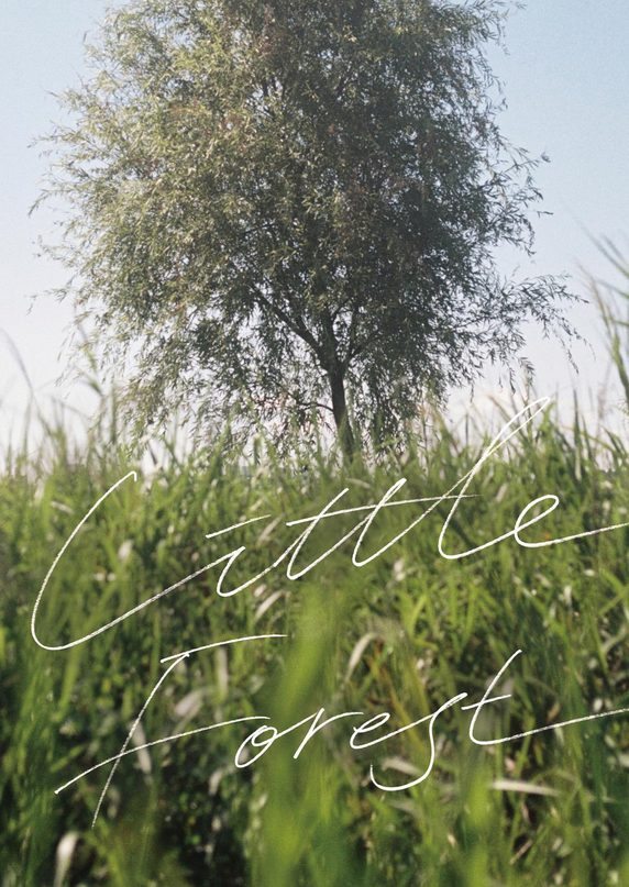 Screenshot 2026 01 26 at 11 28 30 Liteul poleseuteu 2018