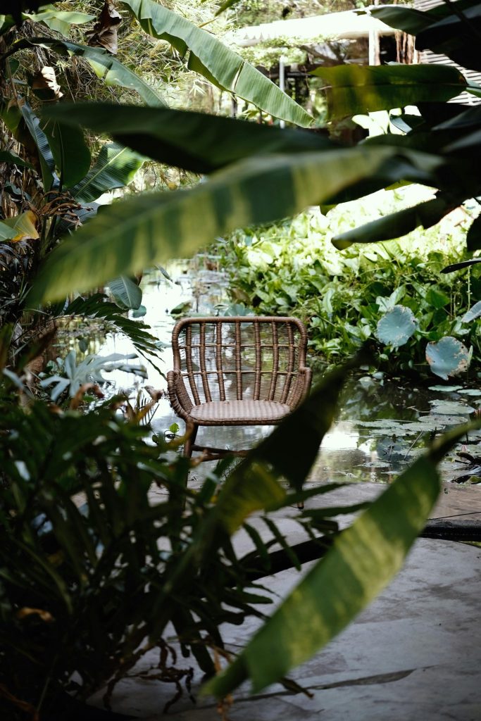 pexels anchornhaven 43716305 34802121