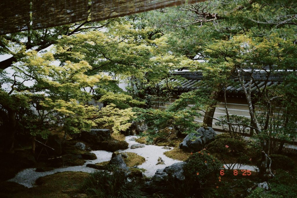 pexels ichear xue 506656275 33018202