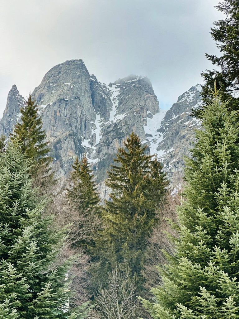 pexels ivan stoqnov 630601711 30516855