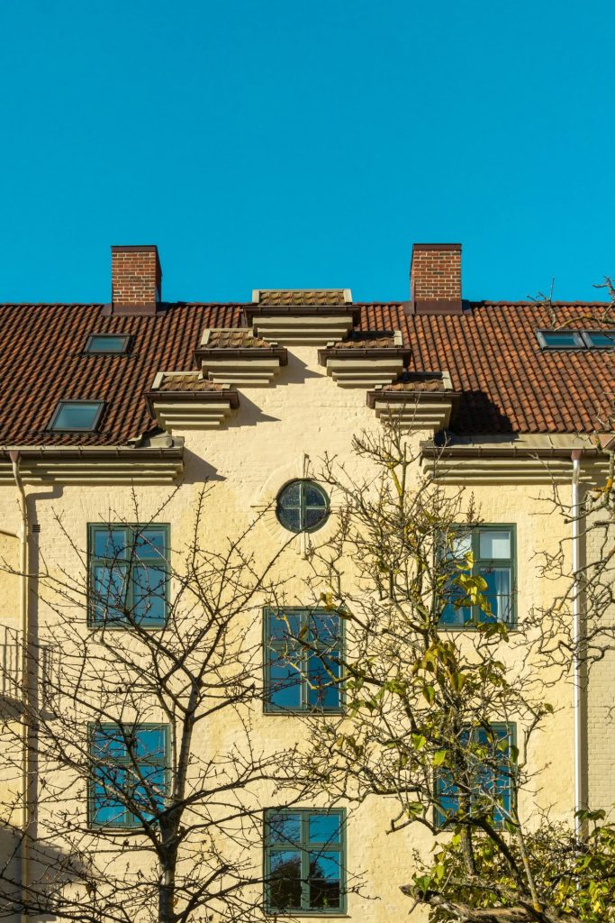 pexels vlado paunovic 1567547 27011123