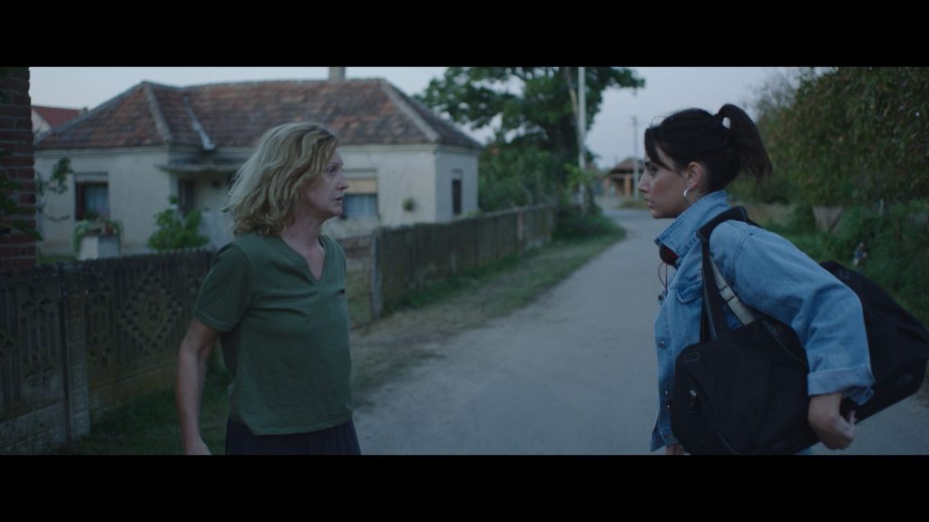 Macji krik foto Milica Drakulic 3