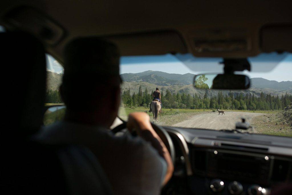 pexels alexander nerozya 77350044 8643941