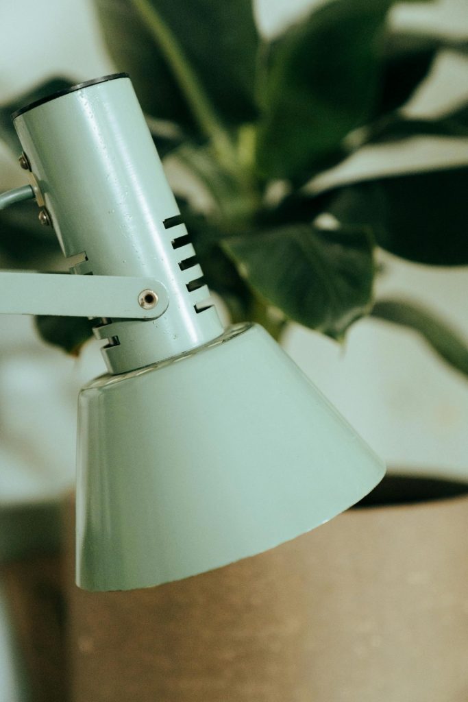 Ove boje su potpuni out u enterijeru ove sezone 10 pexels cottonbro 5094570