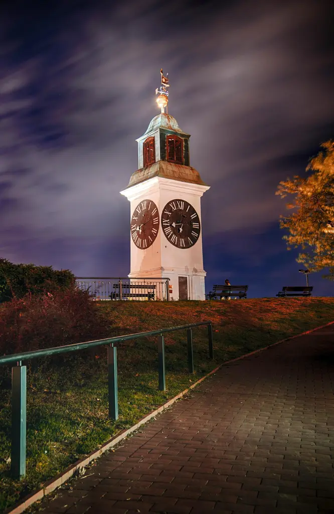 pexels deliboss 32561134