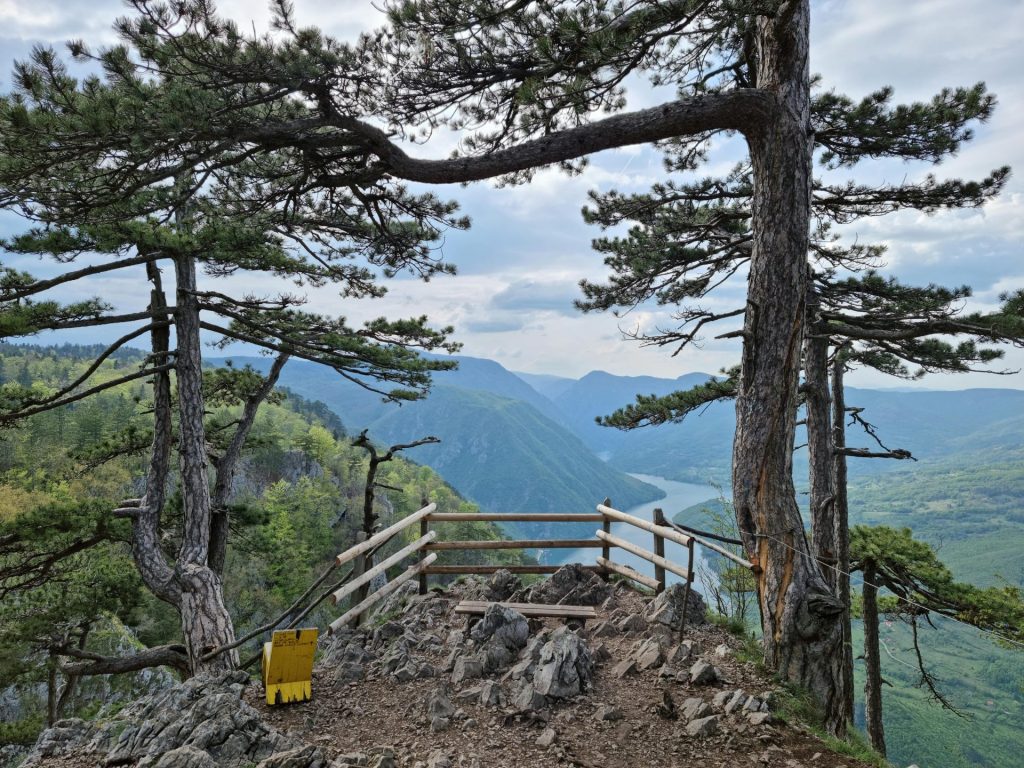 pexels goran rakita 993689093 20281971 1