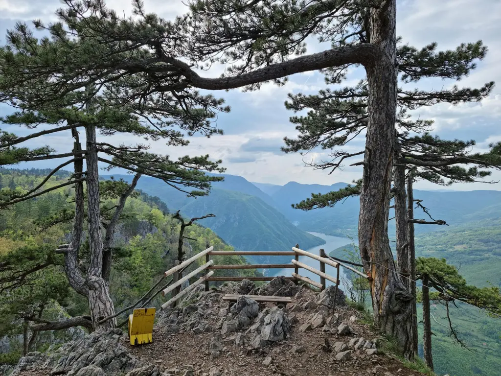 pexels goran rakita 993689093 20281971 1