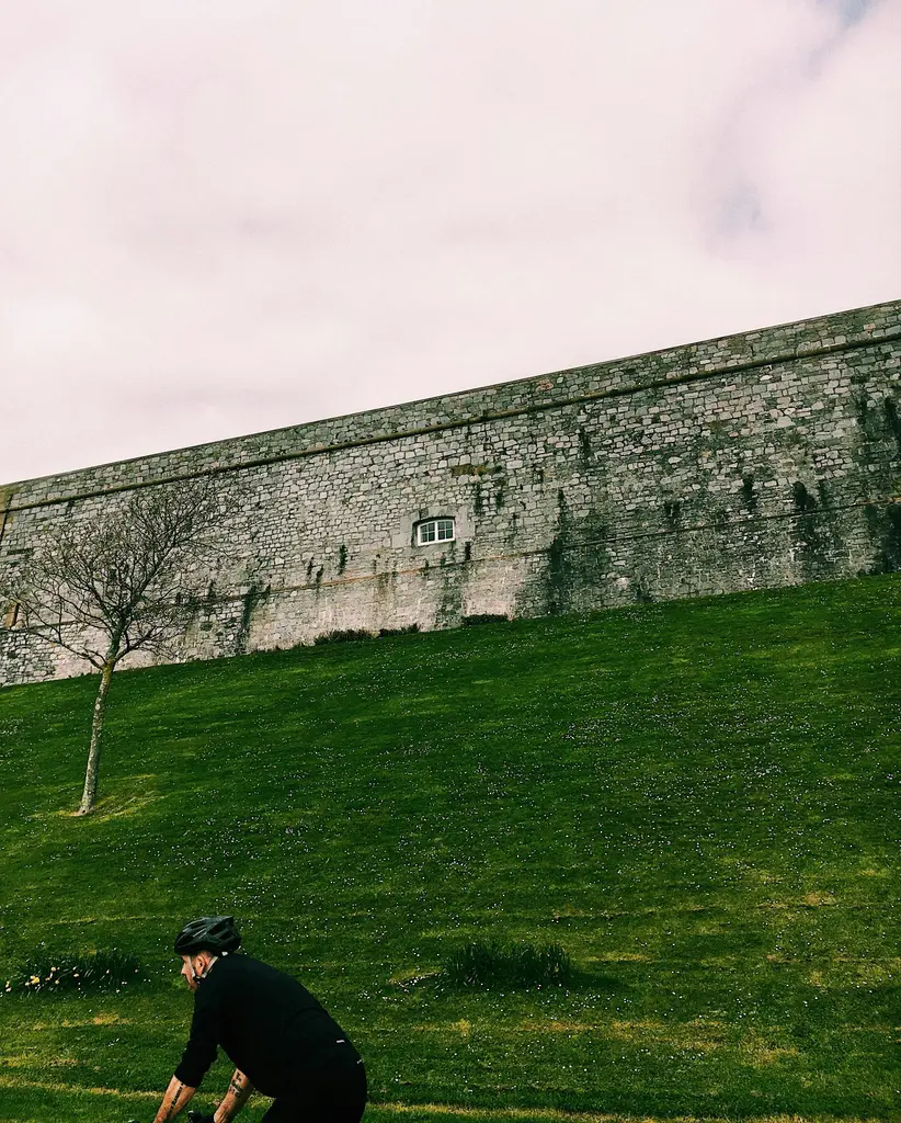 pexels harry cooke 6195162