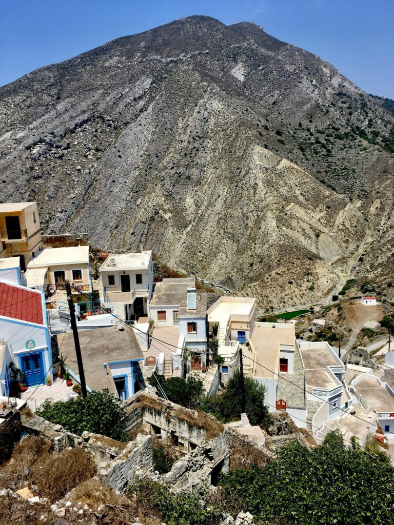 pexels iris 29503021