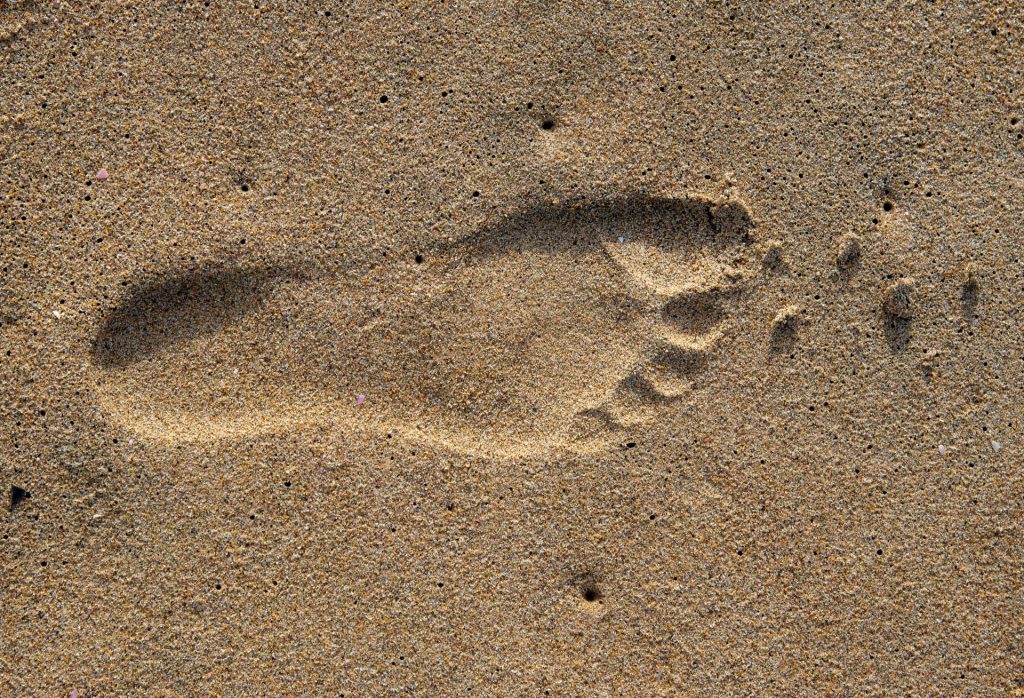 pexels jurie maree 3665535 5724072