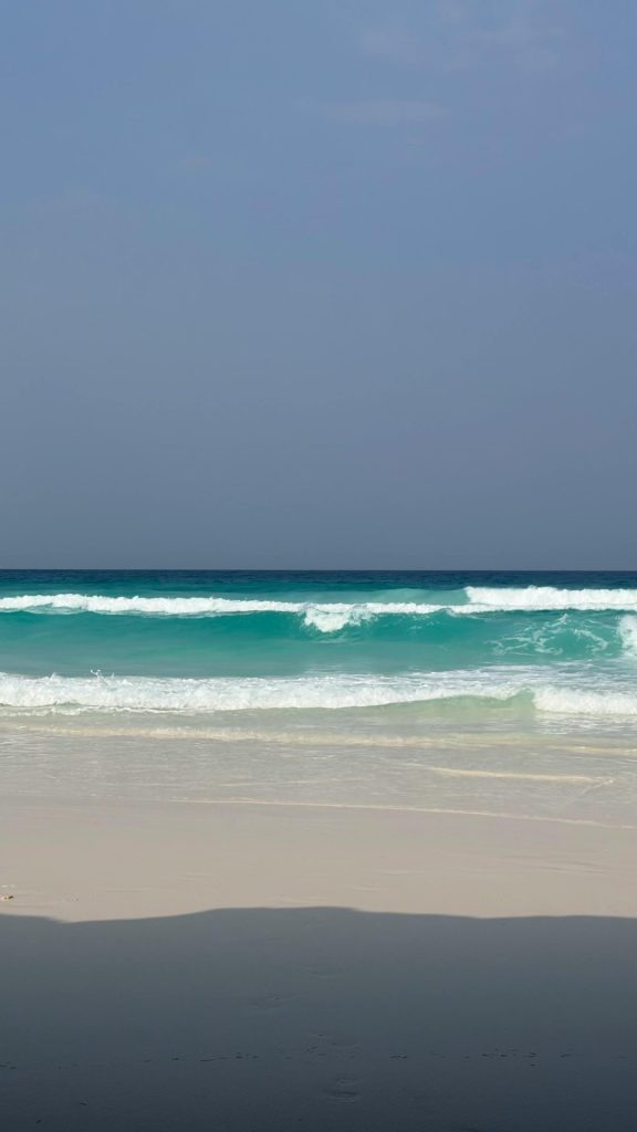 pexels khojiakbar teshaboev 2154965416 34465335