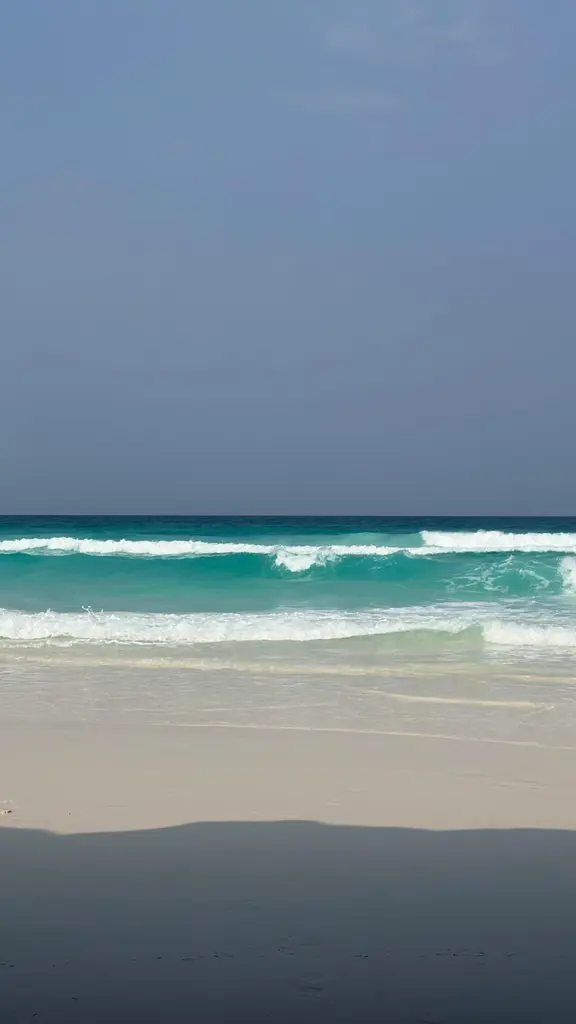 pexels khojiakbar teshaboev 2154965416 34465335