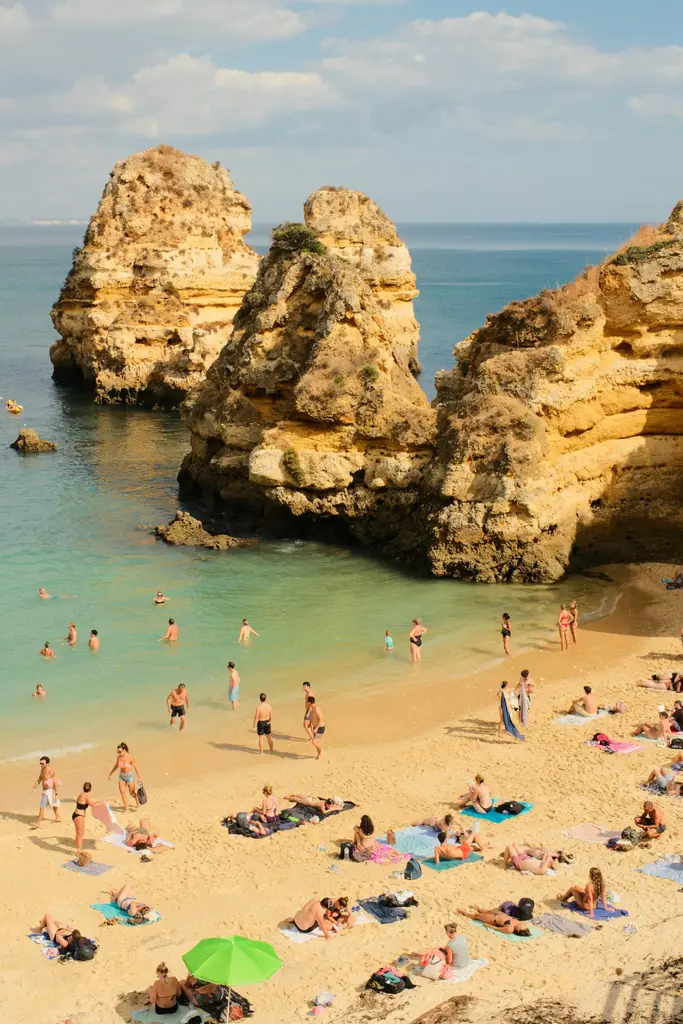 pexels kohankhaki 34208760