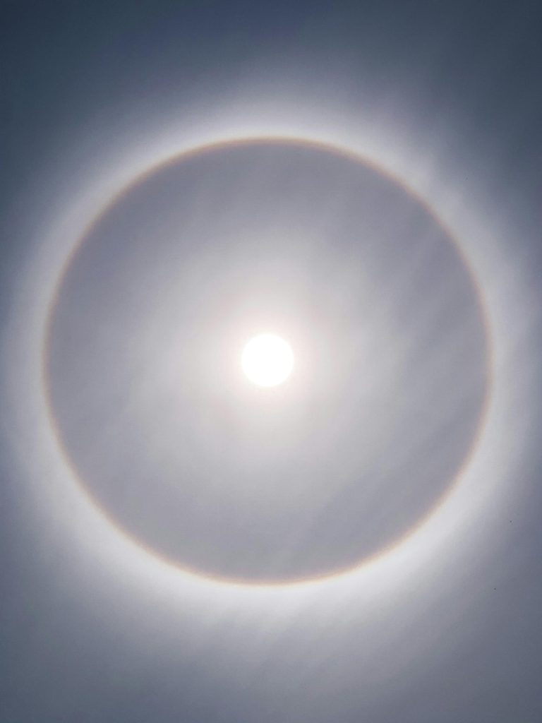 pexels mrt ziolko 157459454 10731757