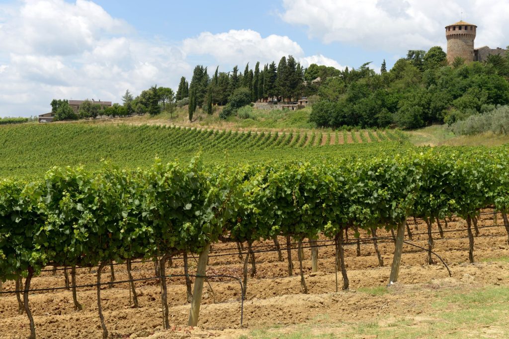 profimedia 0621862662