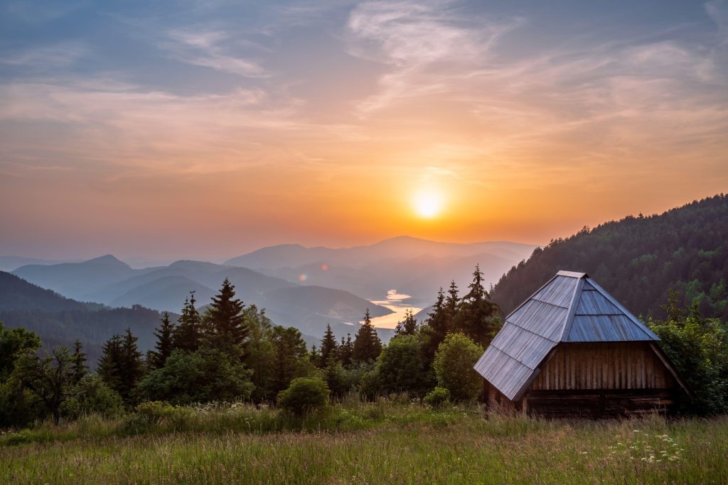 profimedia 1016144641