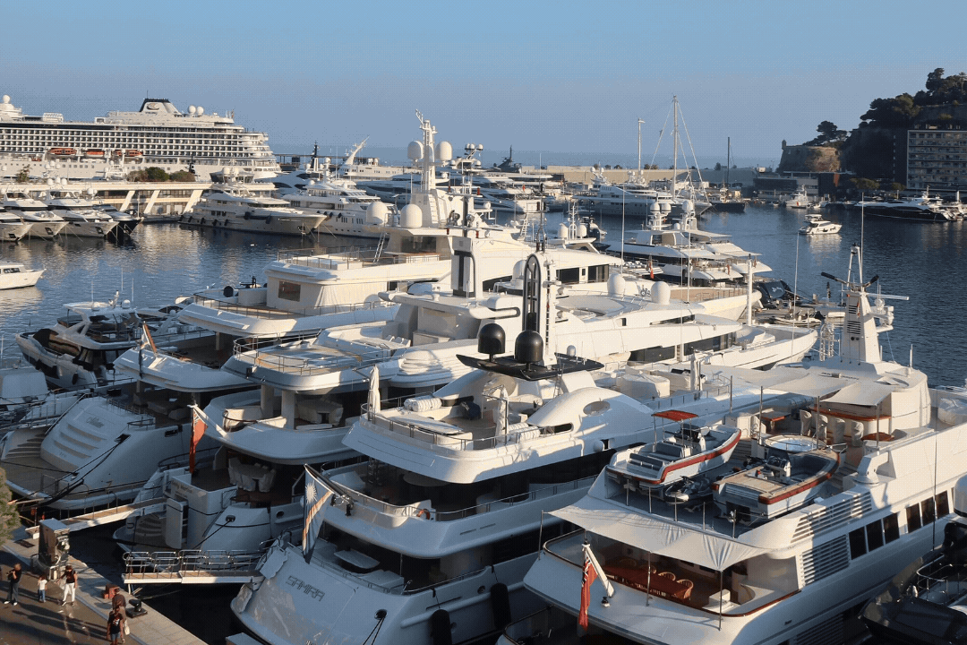 mina milutinovic monaco