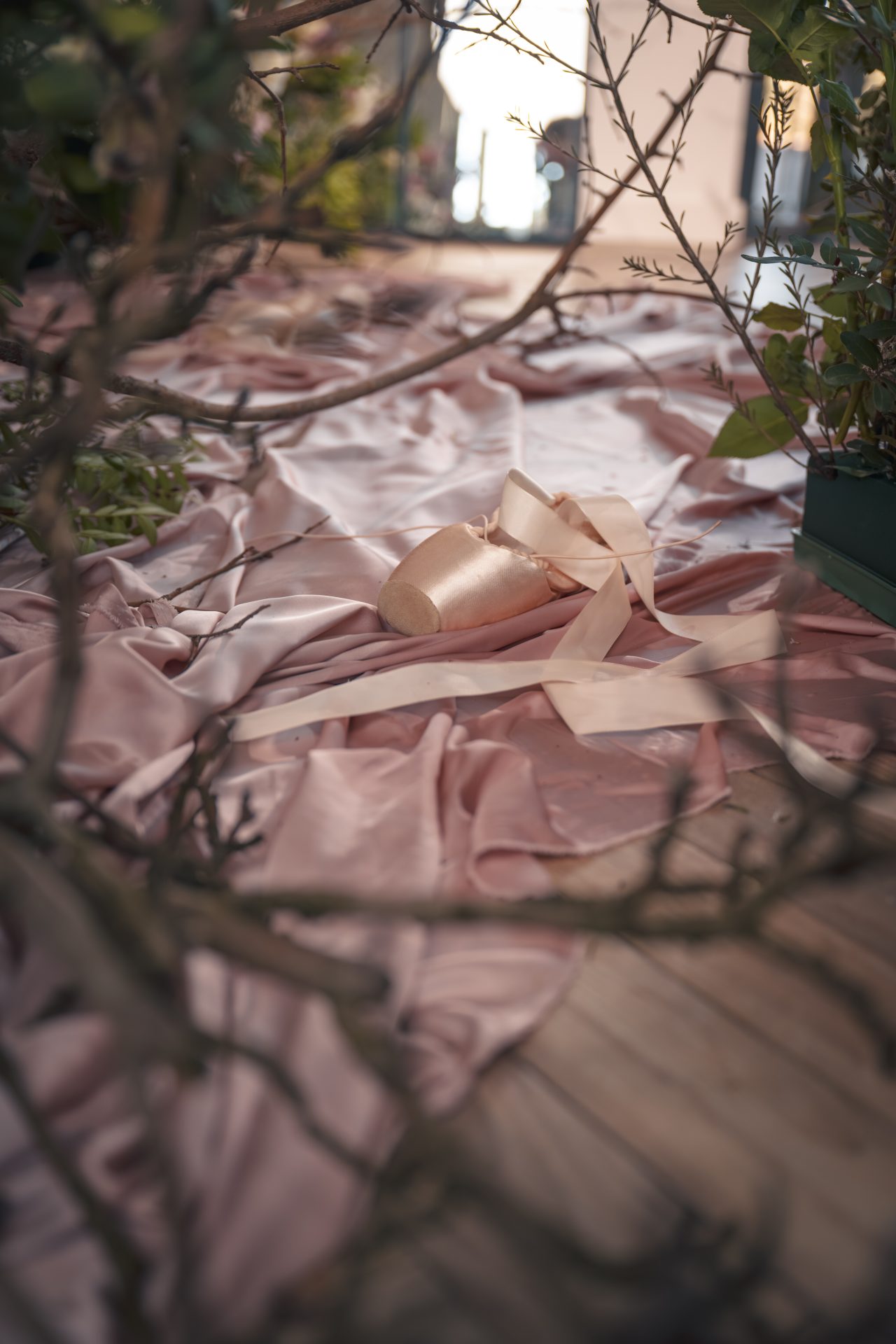 uspavana lepotica beobalet