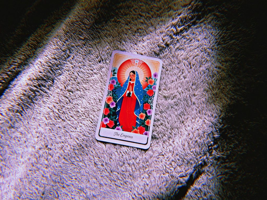 pexels shamia casiano 183672 16537897