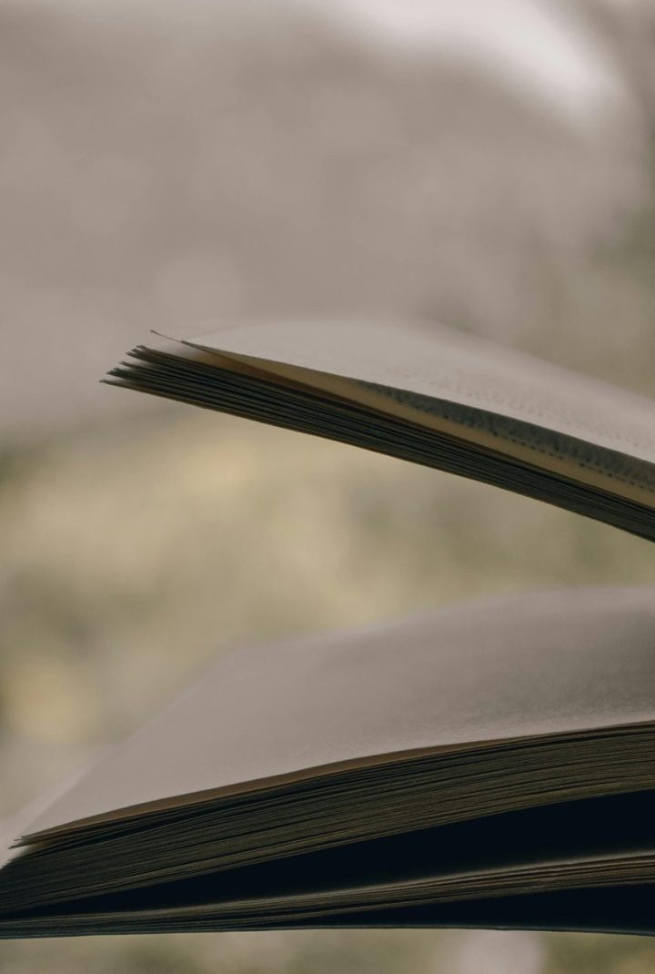 pexels visneligunce 8685447