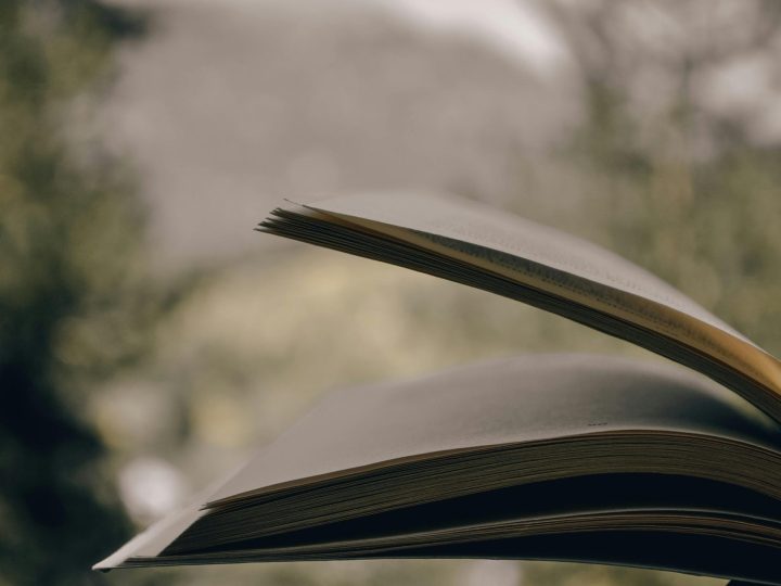 pexels visneligunce 8685447